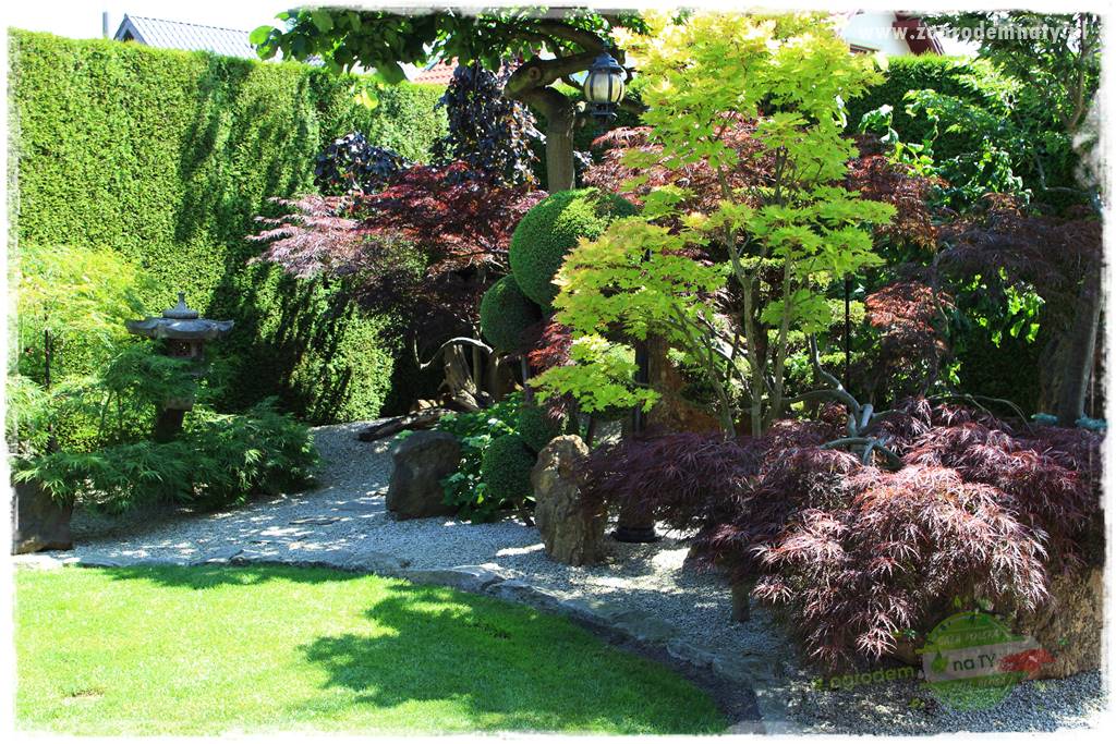 ogród polsko japoński 409 ogród polsko japoński 409