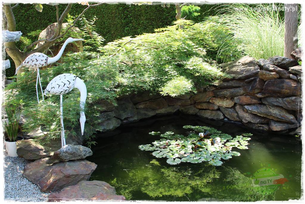 ogród polsko japoński 411 ogród polsko japoński 411