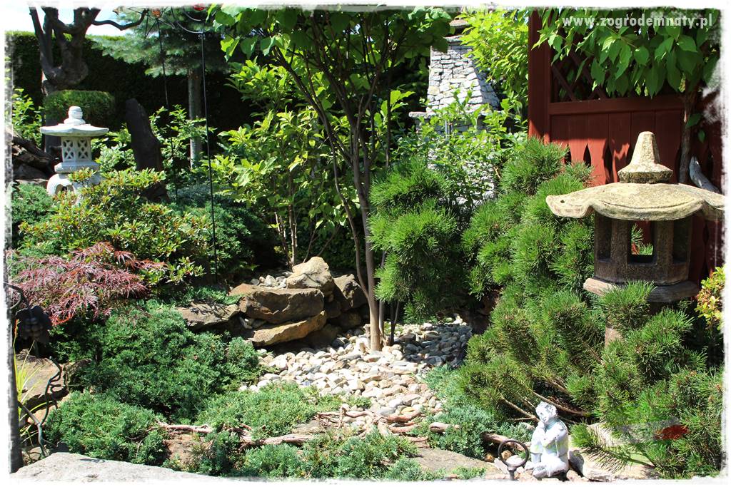 ogród polsko japoński 415 ogród polsko japoński 415