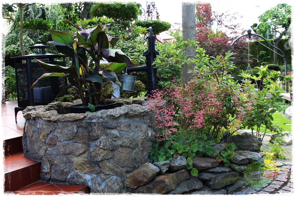 ogród polsko japoński 421 ogród polsko japoński 421