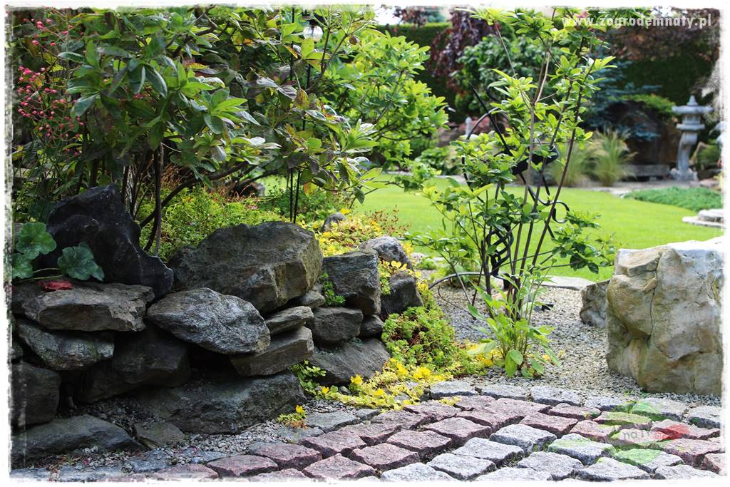 ogród polsko japoński 422 ogród polsko japoński 422