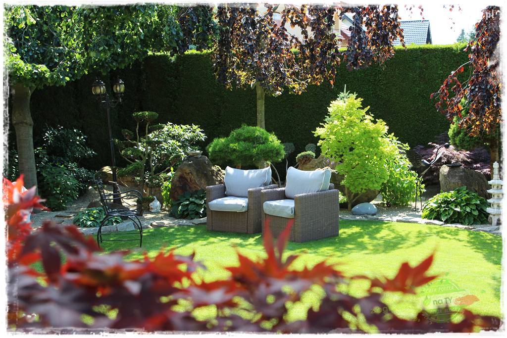 ogród polsko japoński 424 ogród polsko japoński 424