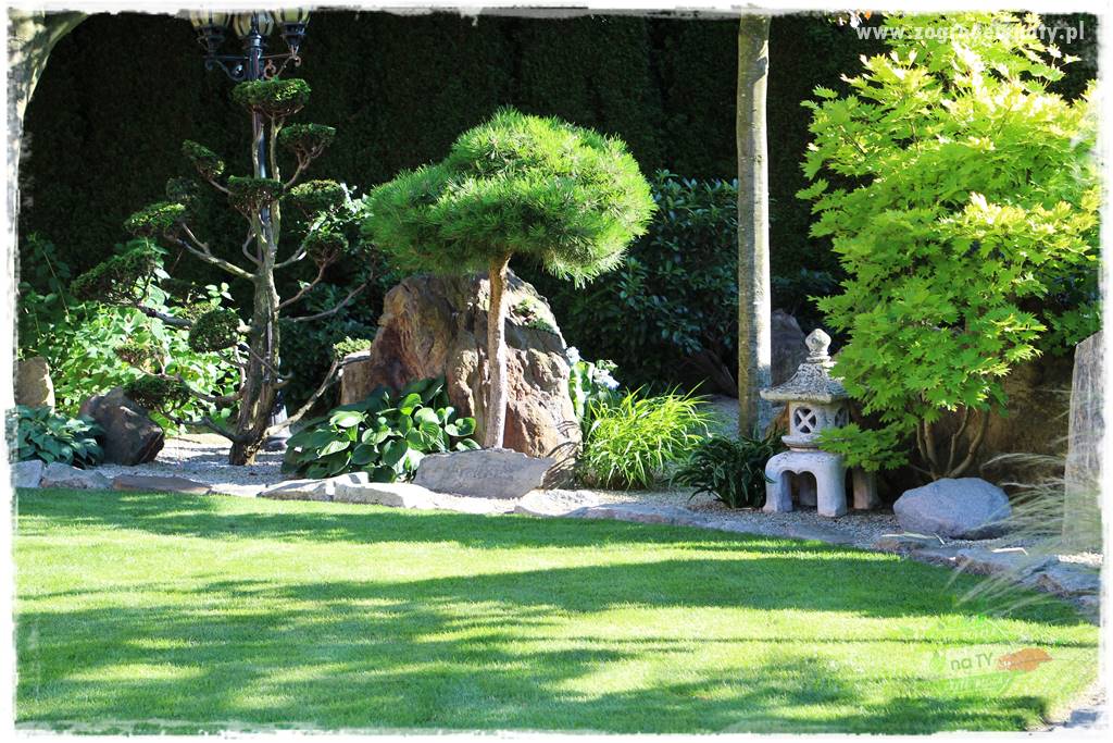 ogród polsko japoński 426 ogród polsko japoński 426