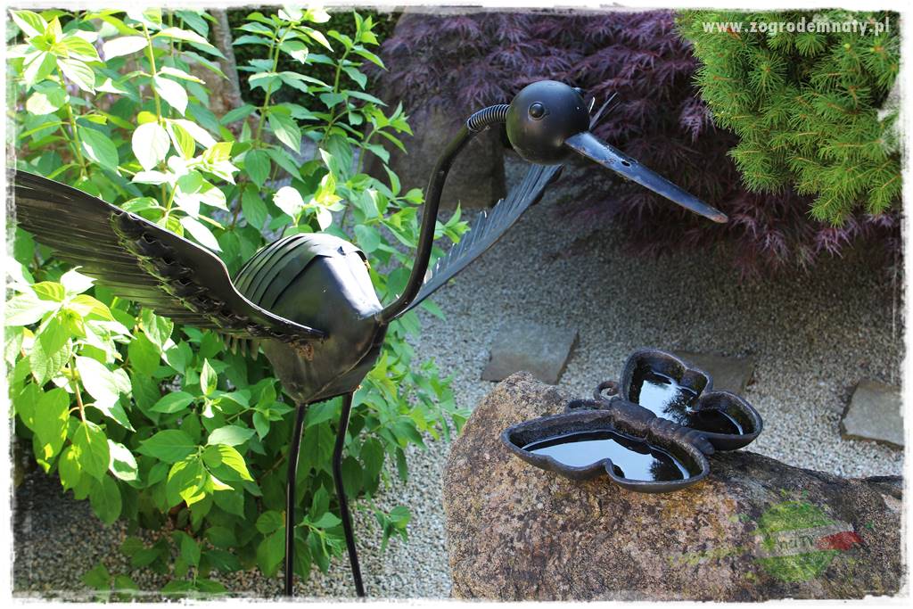 ogród polsko japoński 427 ogród polsko japoński 427