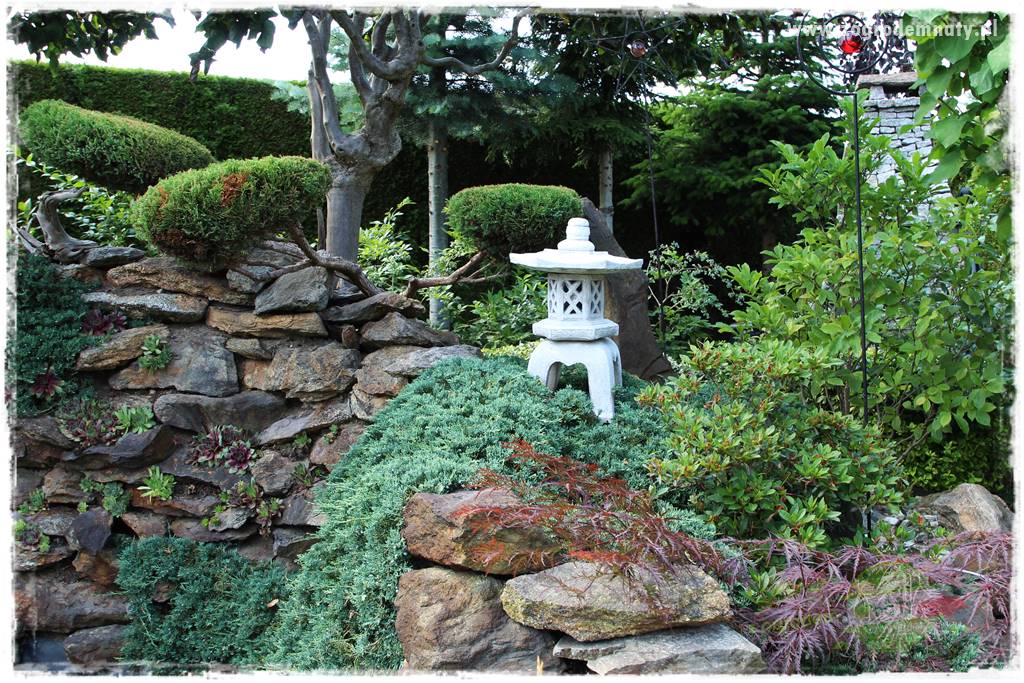 ogród polsko japoński 428 ogród polsko japoński 428