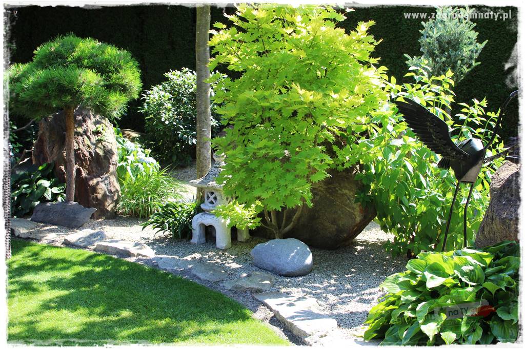 ogród polsko japoński 429 ogród polsko japoński 429