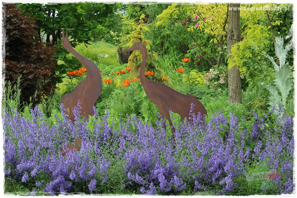 rośliny na zasadową glebę 42