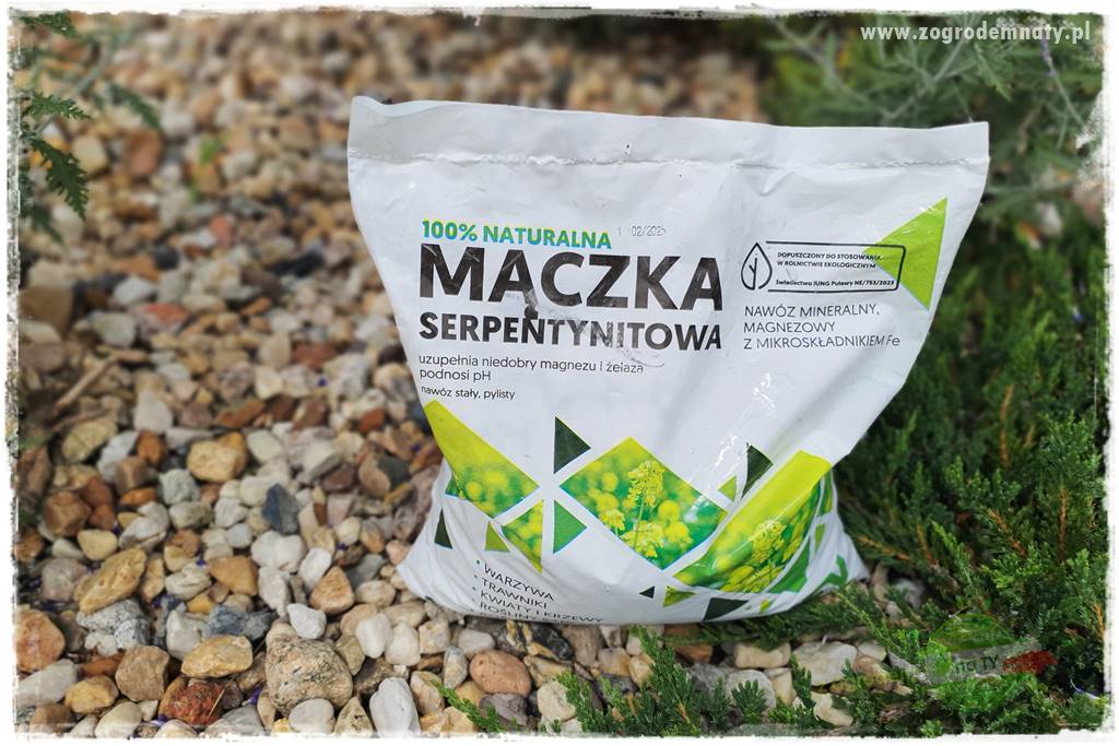 rośliny na zasadową glebę 57 rośliny na zasadową glebę 57