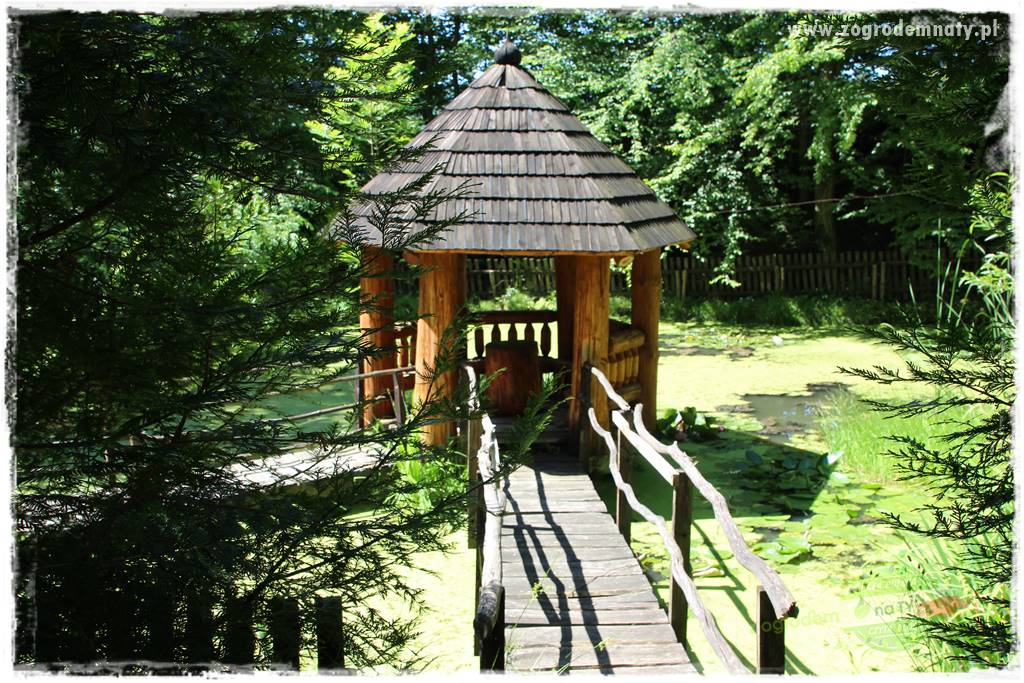 różany ogród 11 różany ogród 11