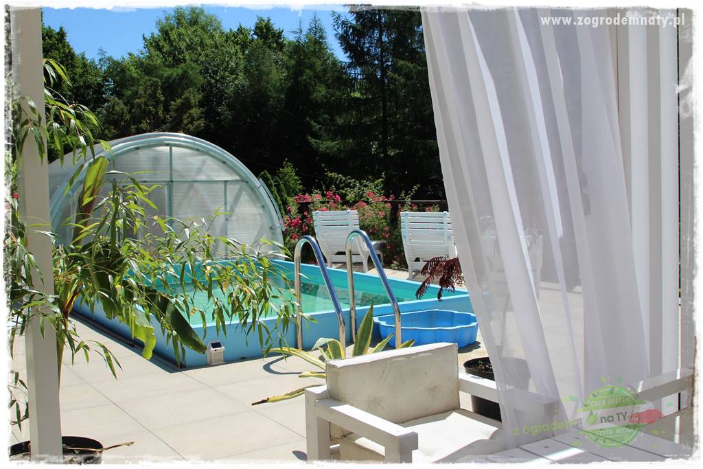 różany ogród 12 różany ogród 12