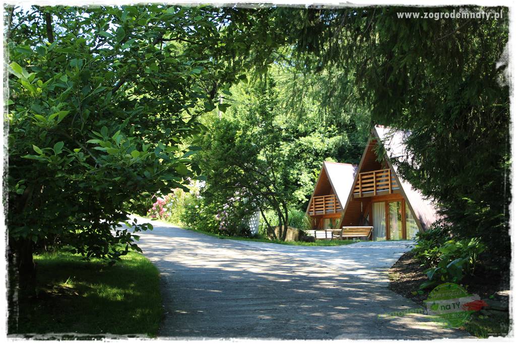 różany ogród 15 różany ogród 15