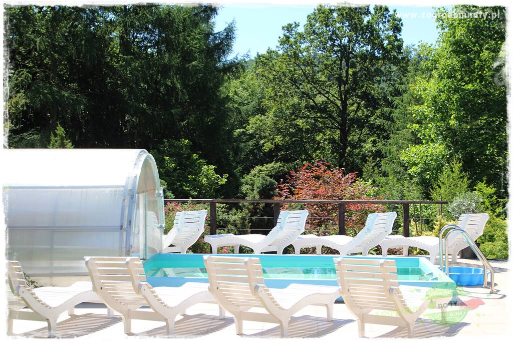 różany ogród 21 różany ogród 21