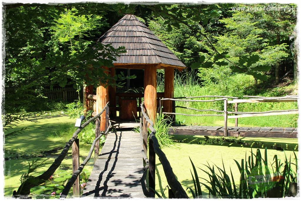 różany ogród 22 różany ogród 22