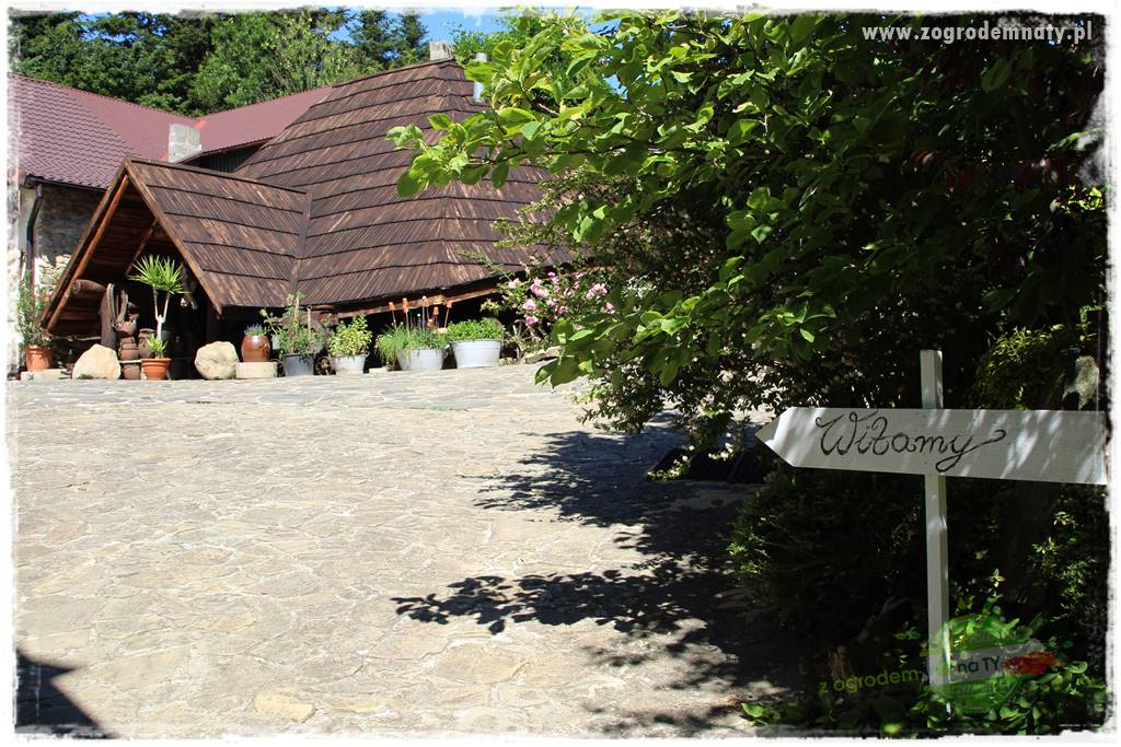 różany ogród 24 różany ogród 24