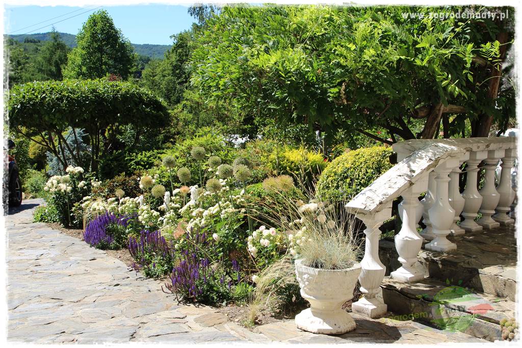 różany ogród 27 różany ogród 27