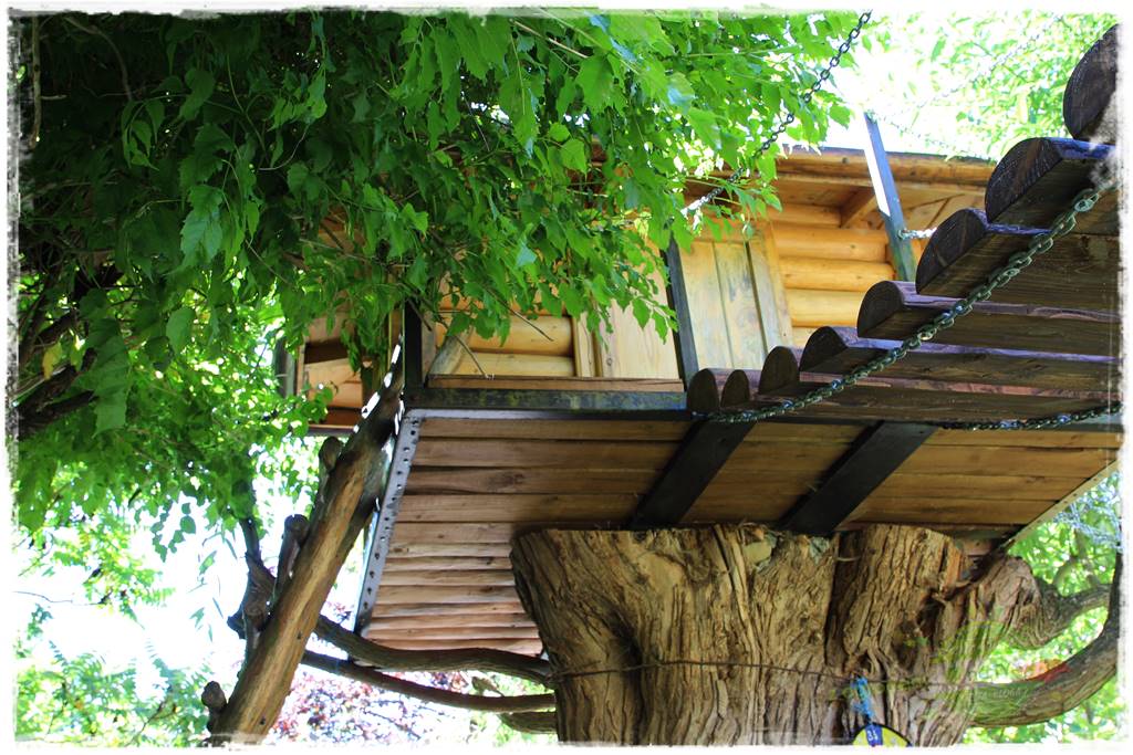 różany ogród 31 różany ogród 31