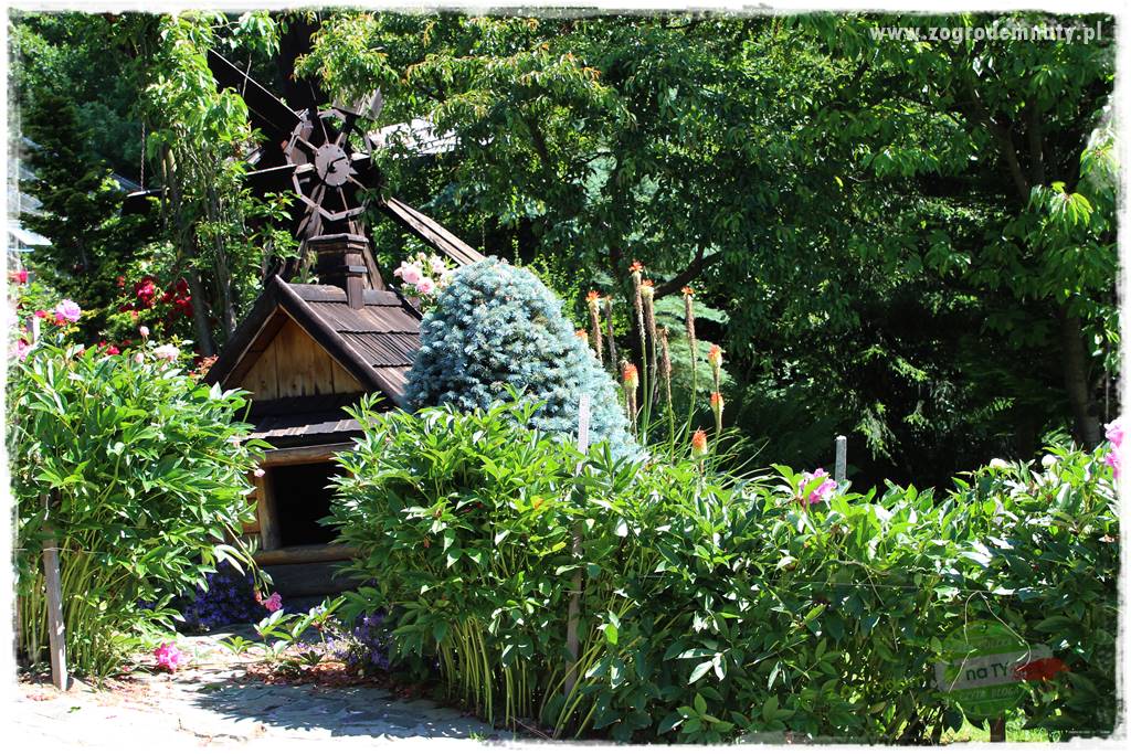 różany ogród 400 różany ogród 400