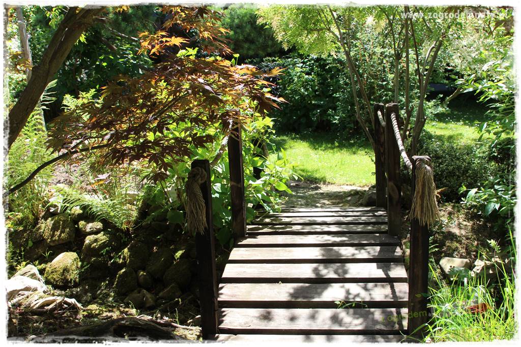 różany ogród 404 różany ogród 404