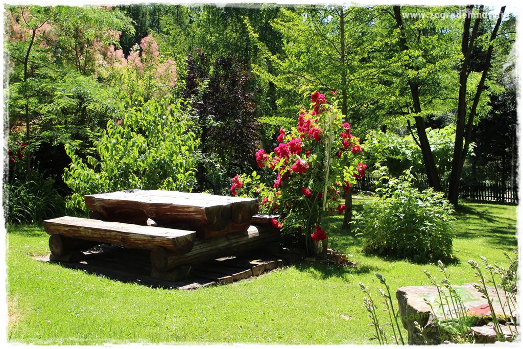 różany ogród 408 różany ogród 408