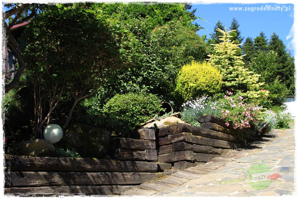 różany ogród 410 różany ogród 410