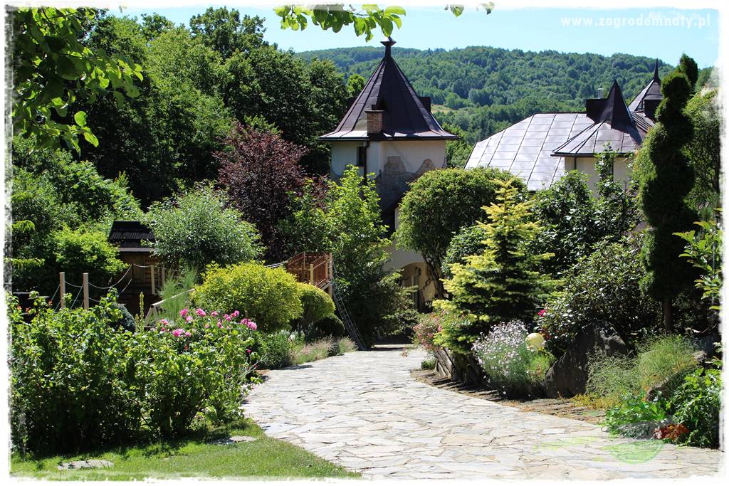 różany ogród 416 różany ogród 416