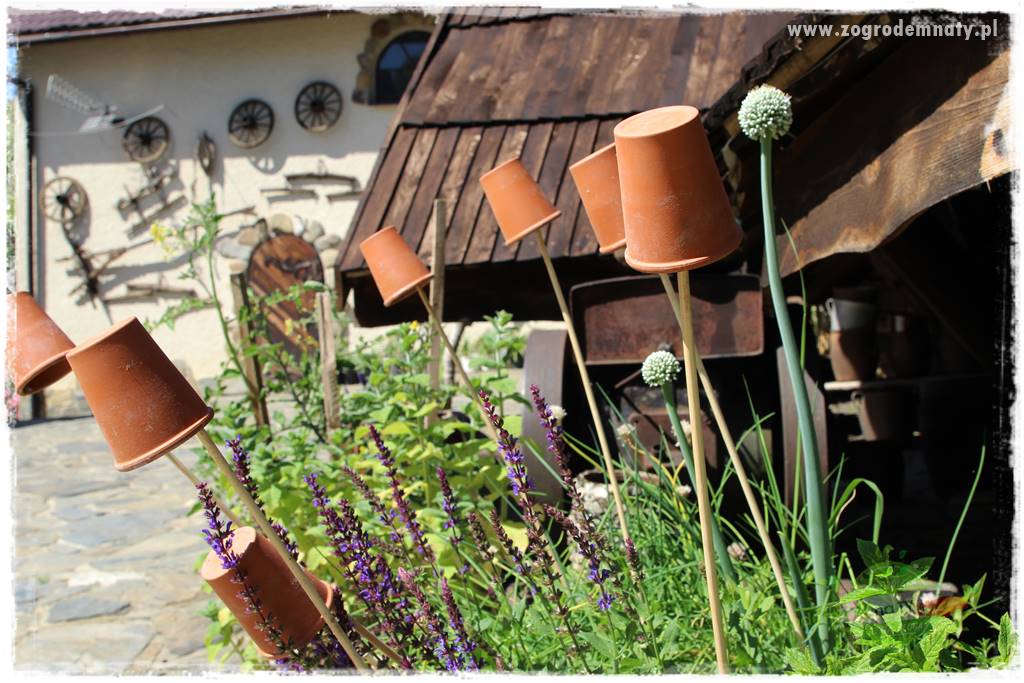 różany ogród 417 różany ogród 417