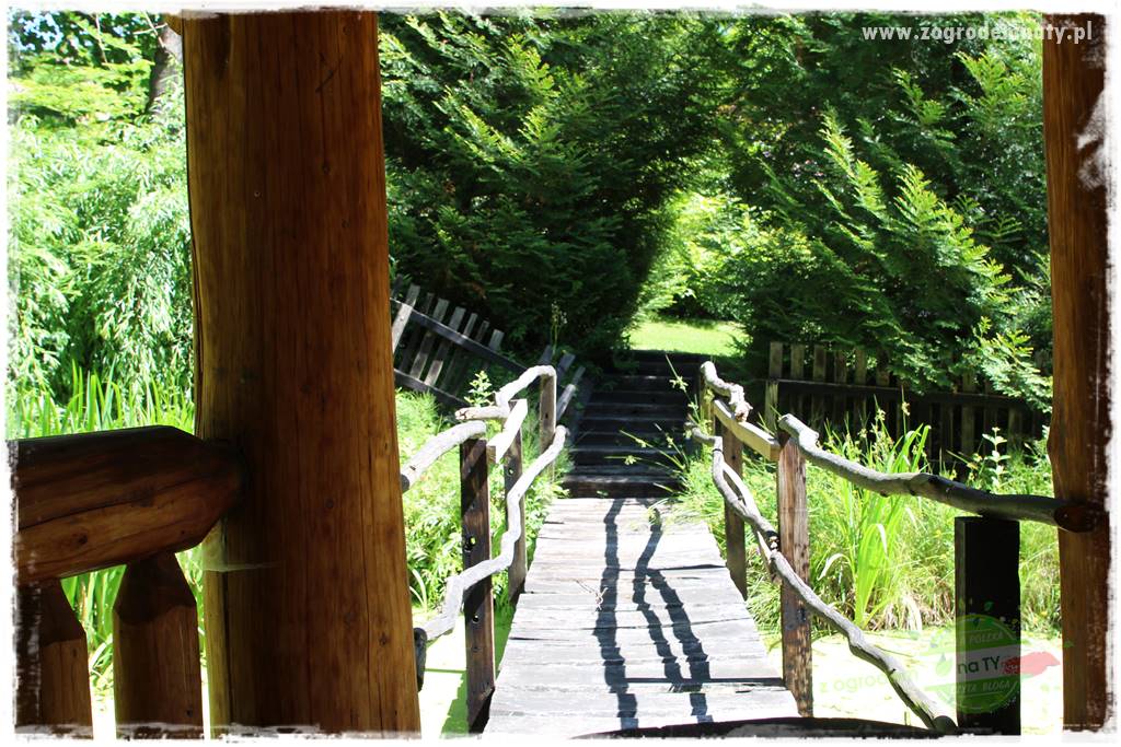 różany ogród 421 różany ogród 421