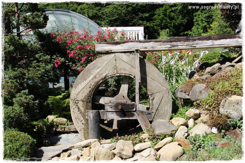 różany ogród 422 różany ogród 422