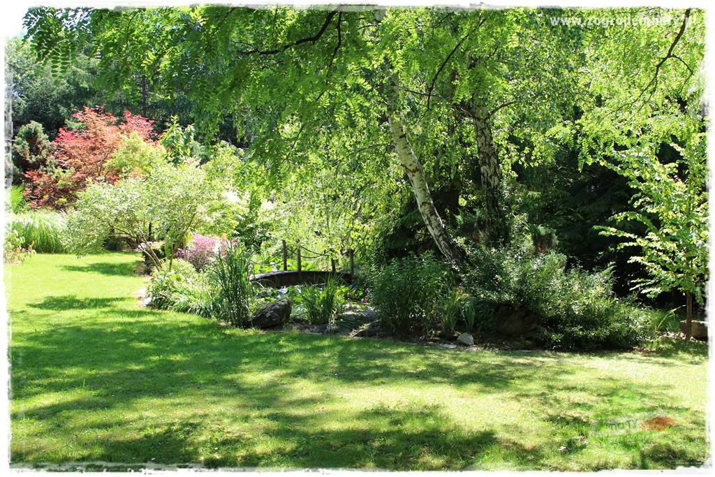 różany ogród 423 różany ogród 423