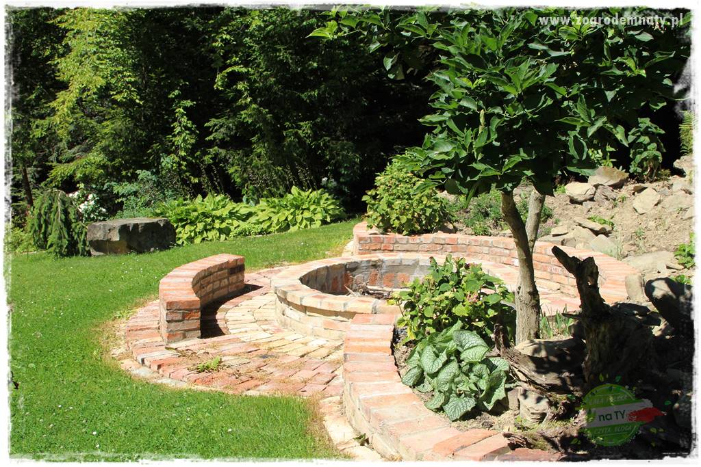 różany ogród 429 różany ogród 429