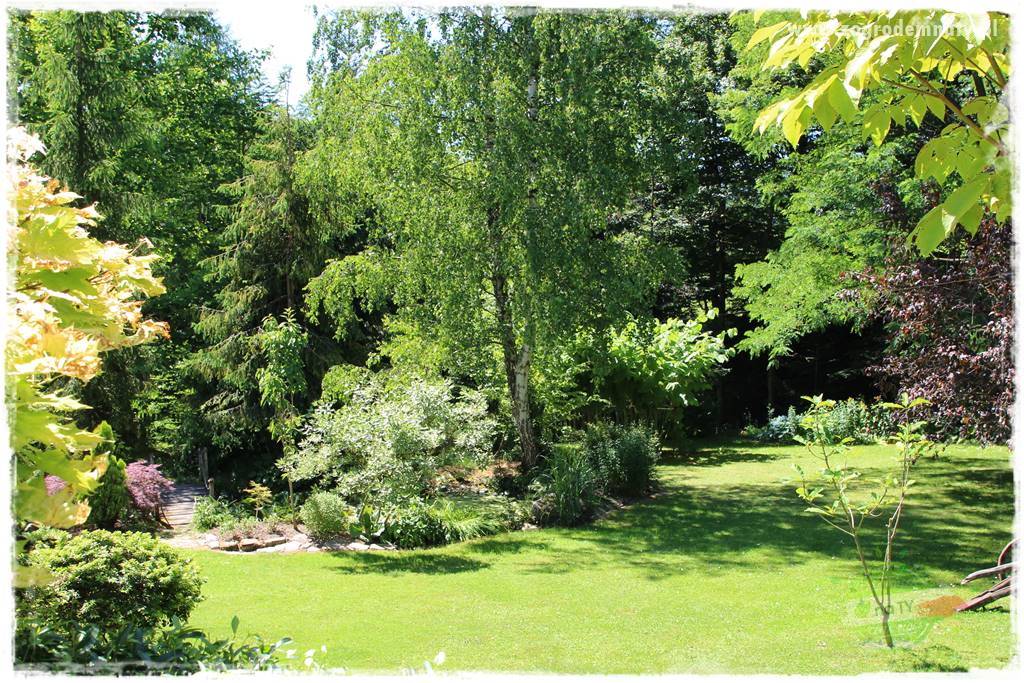 różany ogród 430 różany ogród 430