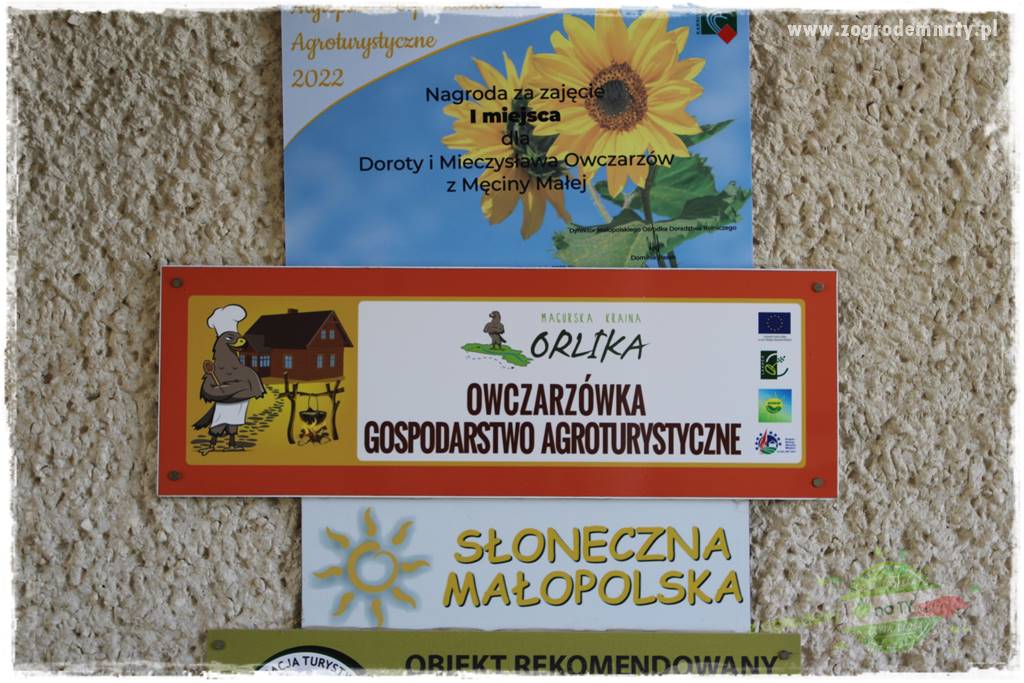 różany ogród 5 różany ogród 5