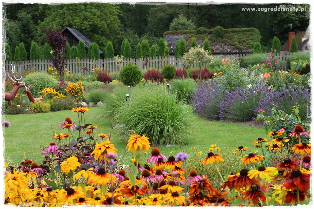 Bylinowy ogród 1