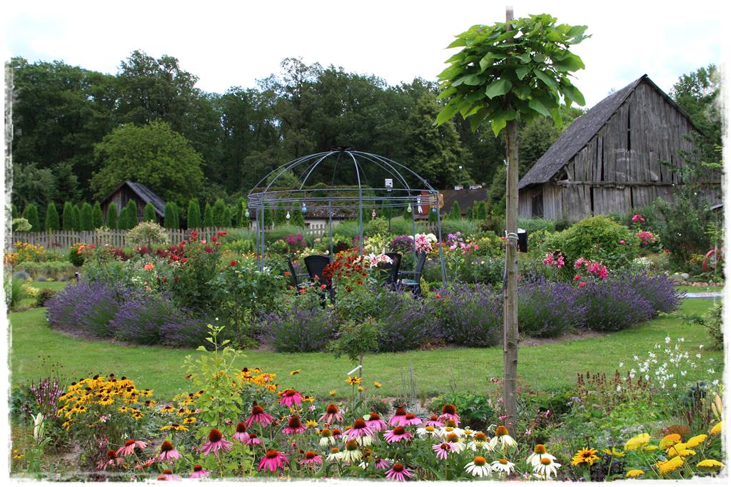 Bylinowy ogród 10 Bylinowy ogród 10