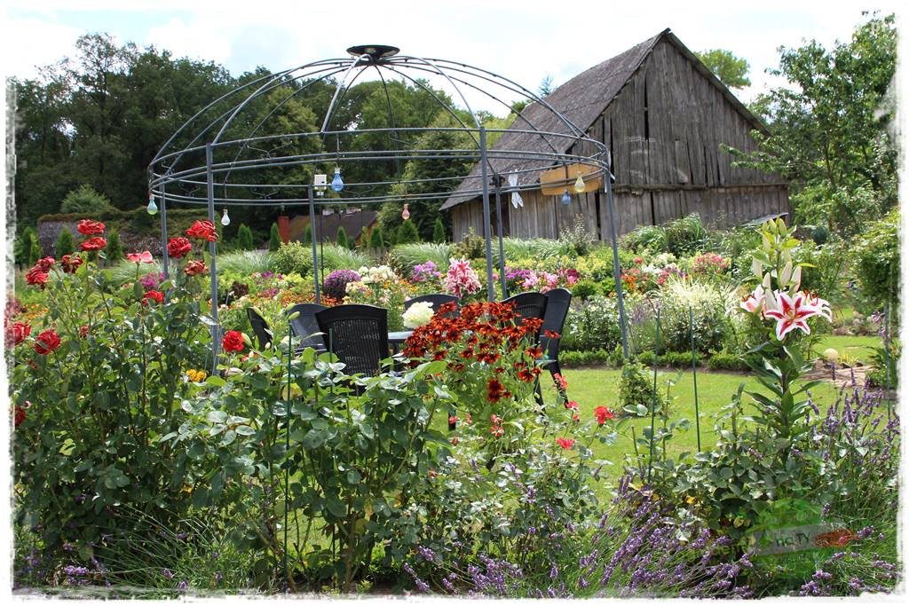 Bylinowy ogród 11 Bylinowy ogród 11