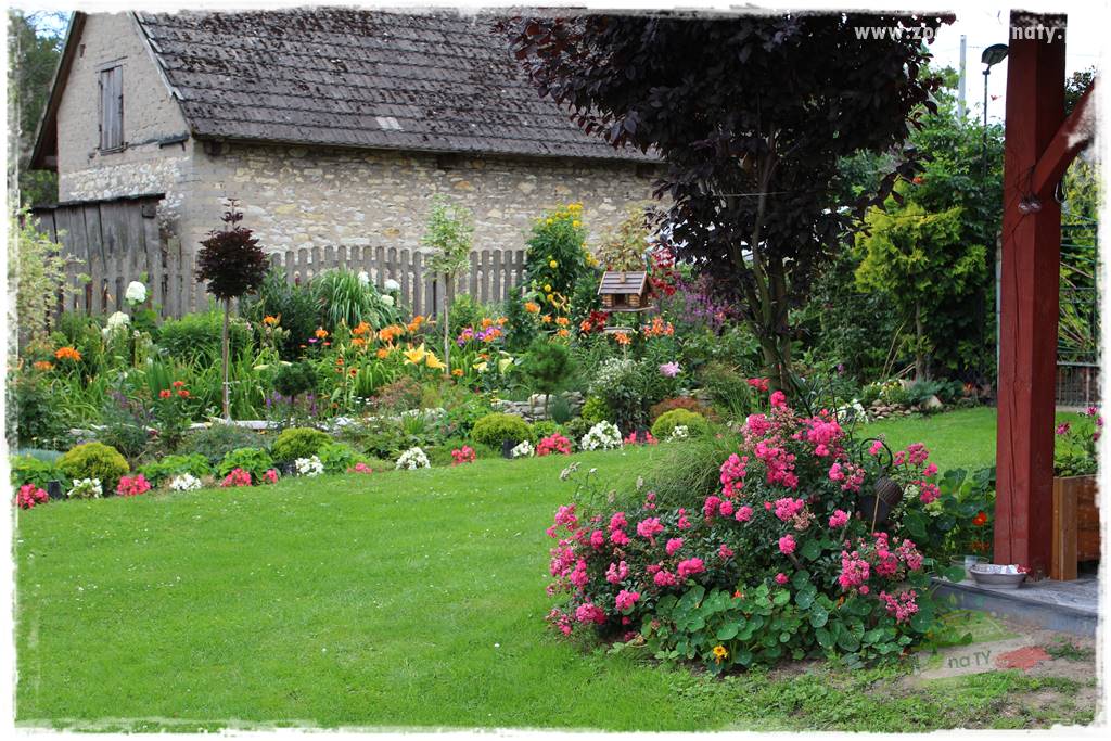 Bylinowy ogród 12 Bylinowy ogród 12