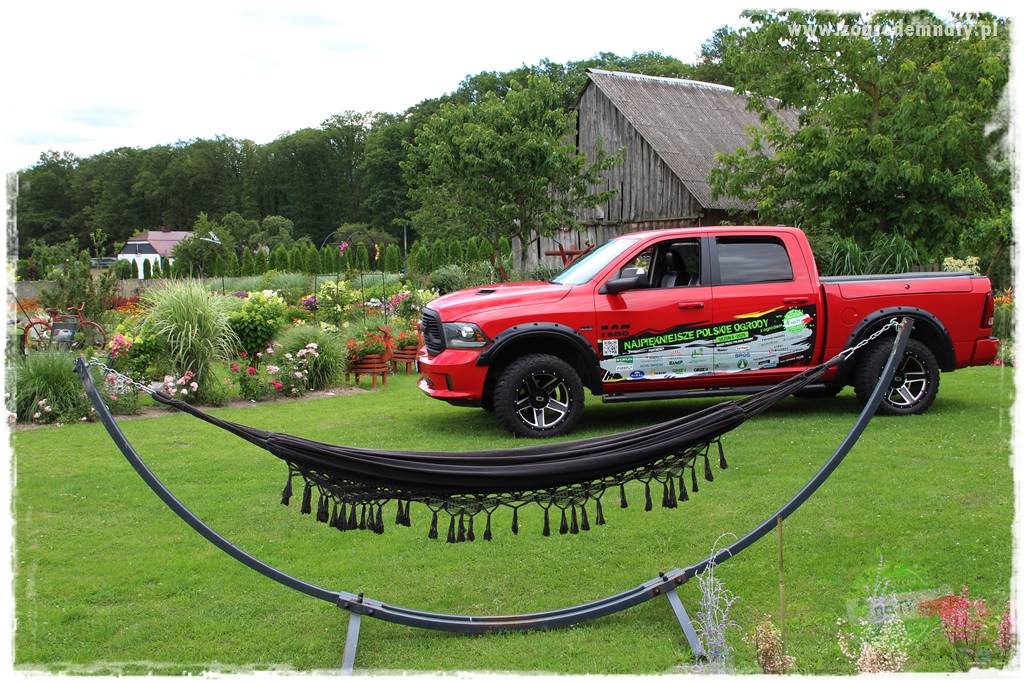 Bylinowy ogród 18 Bylinowy ogród 18