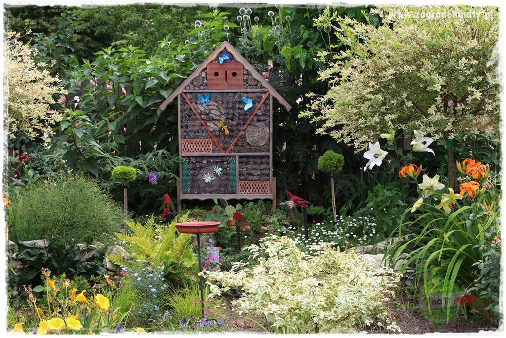 Bylinowy ogród 2 Bylinowy ogród 2