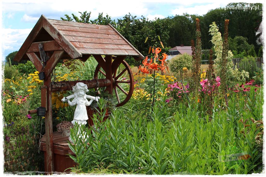 Bylinowy ogród 201 Bylinowy ogród 201