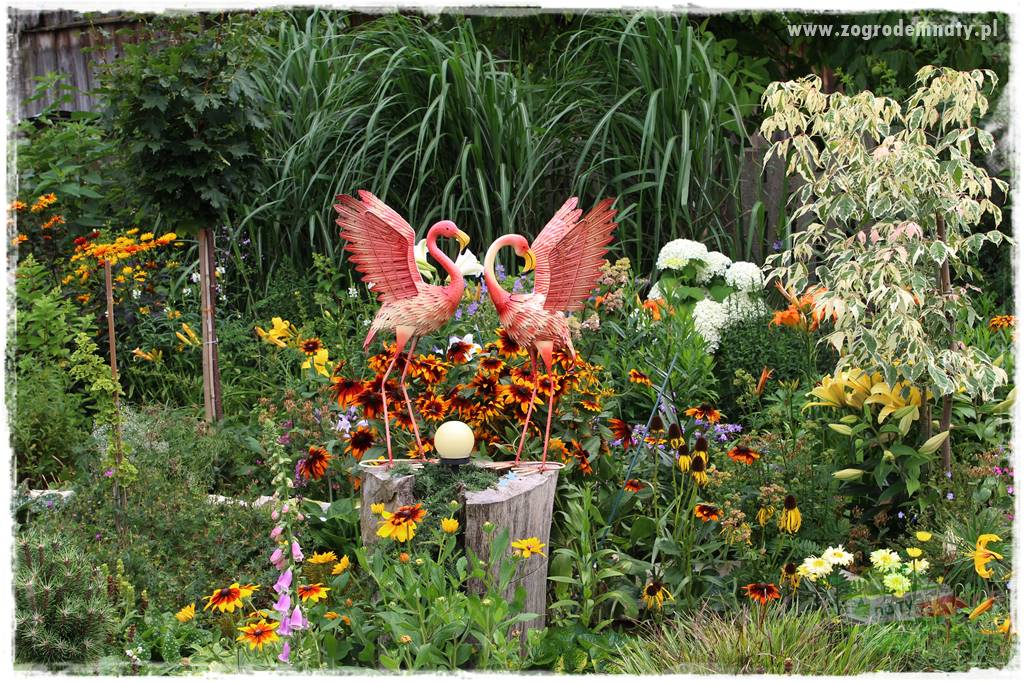 Bylinowy ogród 202 Bylinowy ogród 202