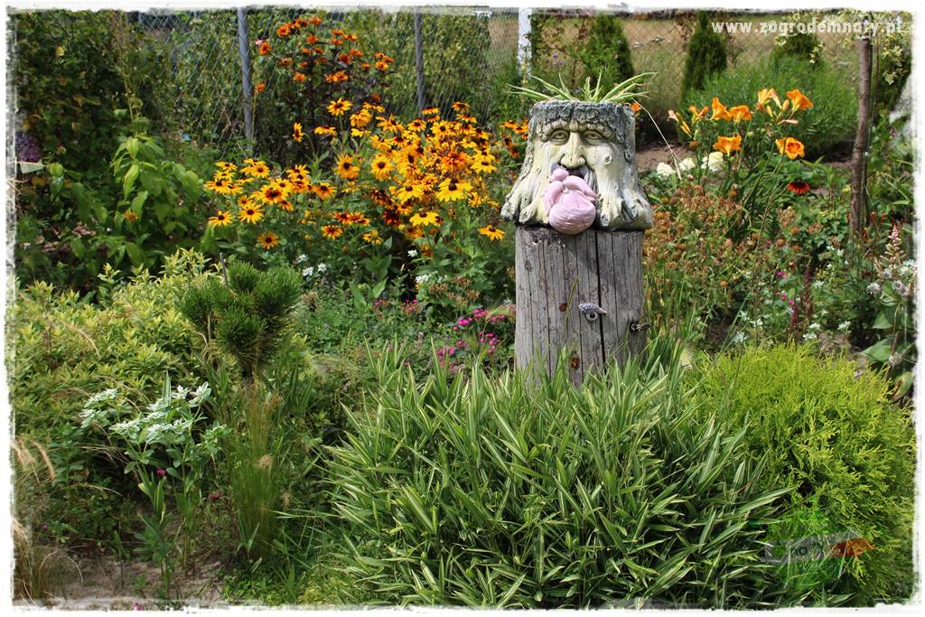 Bylinowy ogród 203 Bylinowy ogród 203