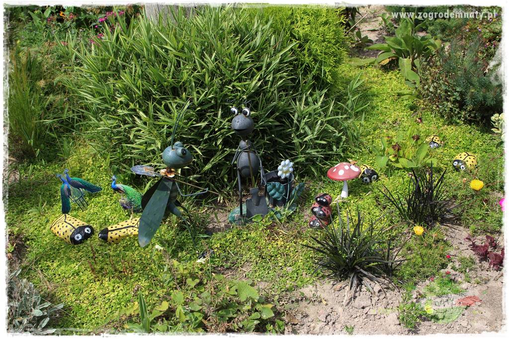 Bylinowy ogród 204 Bylinowy ogród 204