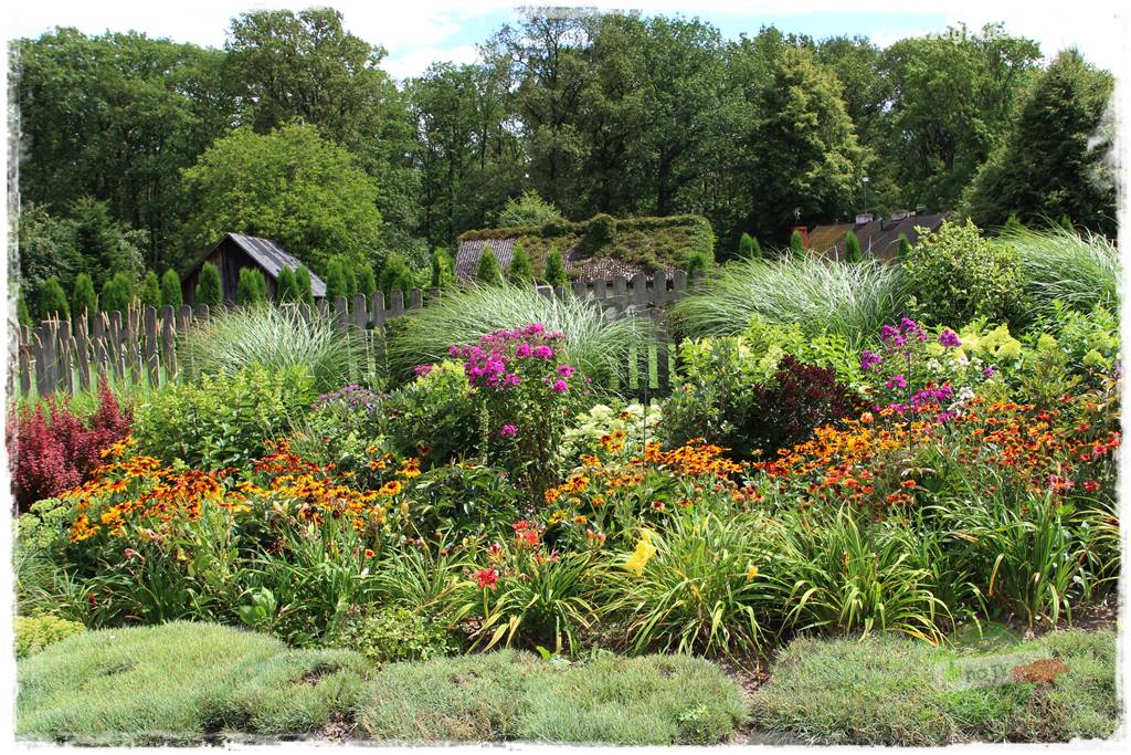 Bylinowy ogród 211 Bylinowy ogród 211