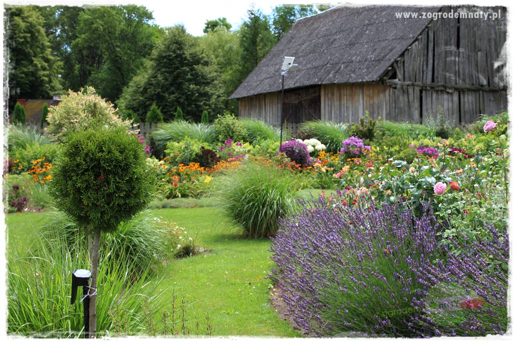 Bylinowy ogród 212 Bylinowy ogród 212