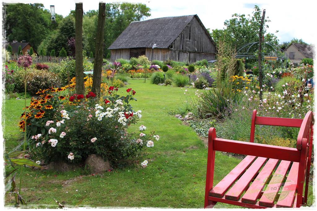 Bylinowy ogród 213 Bylinowy ogród 213