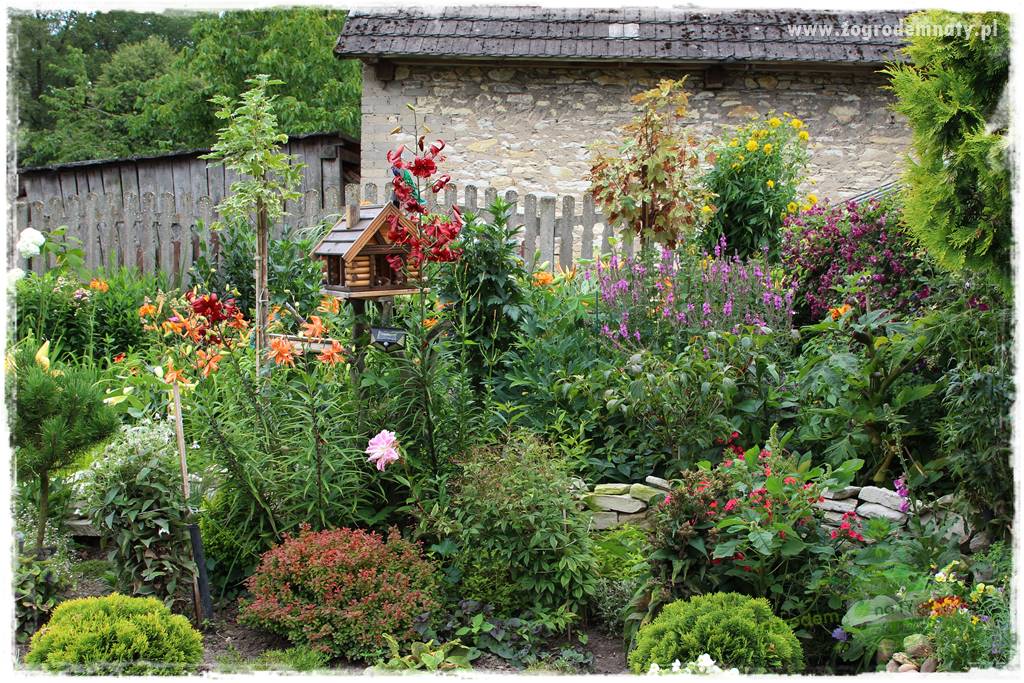 Bylinowy ogród 215 Bylinowy ogród 215