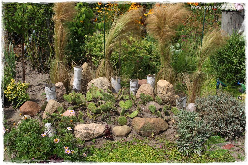 Bylinowy ogród 216 Bylinowy ogród 216