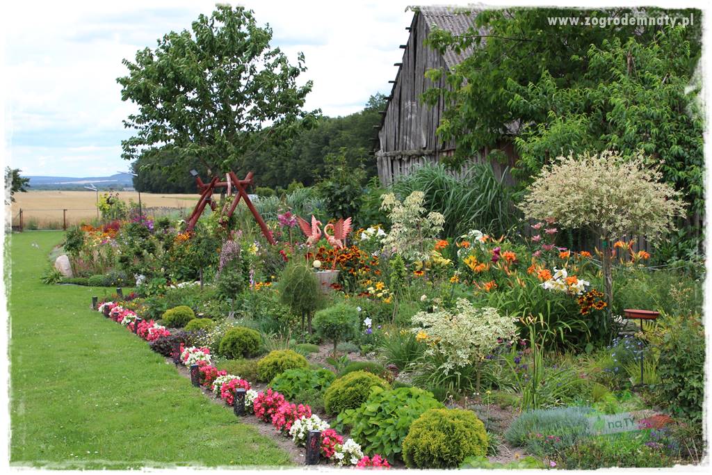 Bylinowy ogród 22 Bylinowy ogród 22