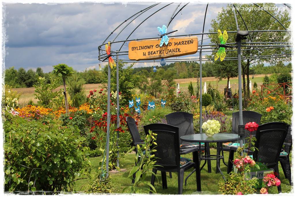 Bylinowy ogród 23 Bylinowy ogród 23