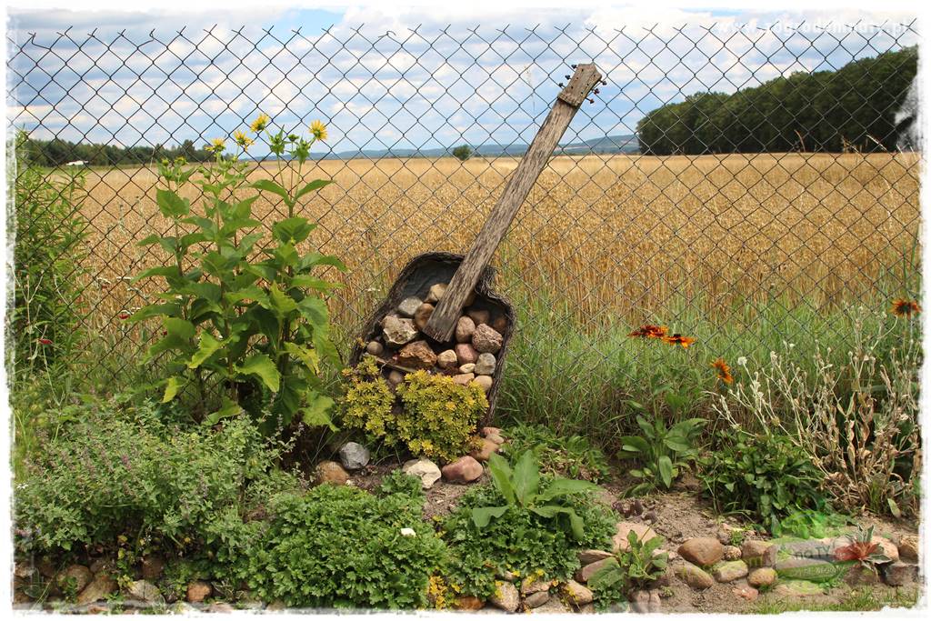 Bylinowy ogród 24 Bylinowy ogród 24